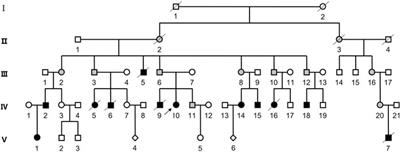 Familial Translocation t(2;4) (q37.3;p16.3), Resulting in a Partial Trisomy of 2q (or 4p) and a Partial Monosomy of 4p (or 2q), Causes Dysplasia